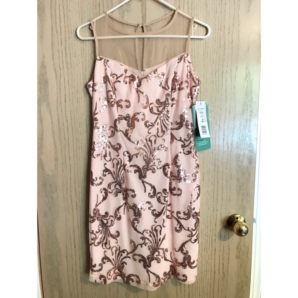 Blush Dress